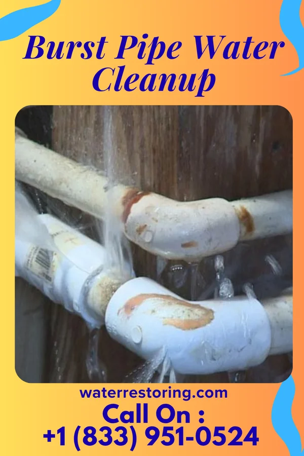 Burst Pipe Water Cleanup in Lake Carroll, IL