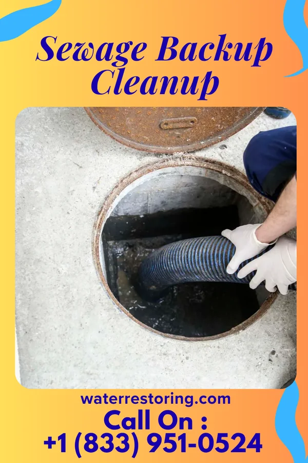 Sewage Backup Cleanup in Lake Carroll, IL