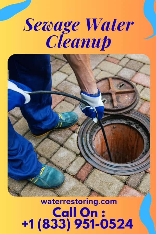Sewage Water Cleanup in Lake Carroll, IL